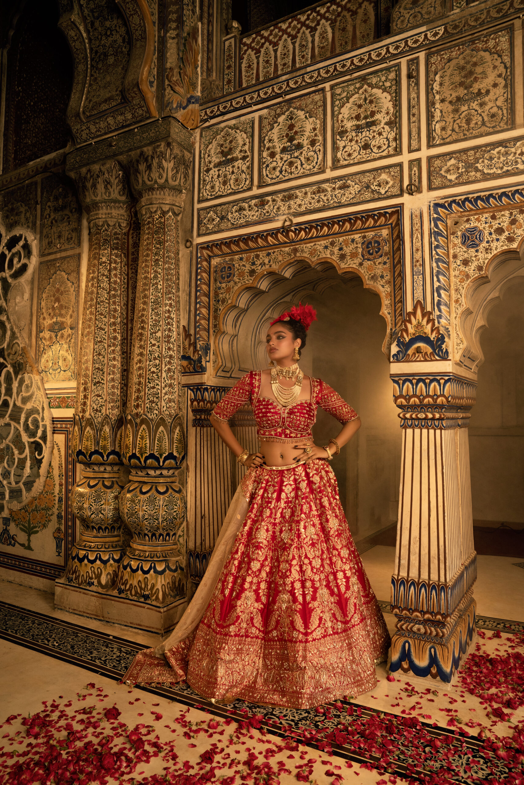Royal Red Banarasi Silk Bridal Lehenga Set