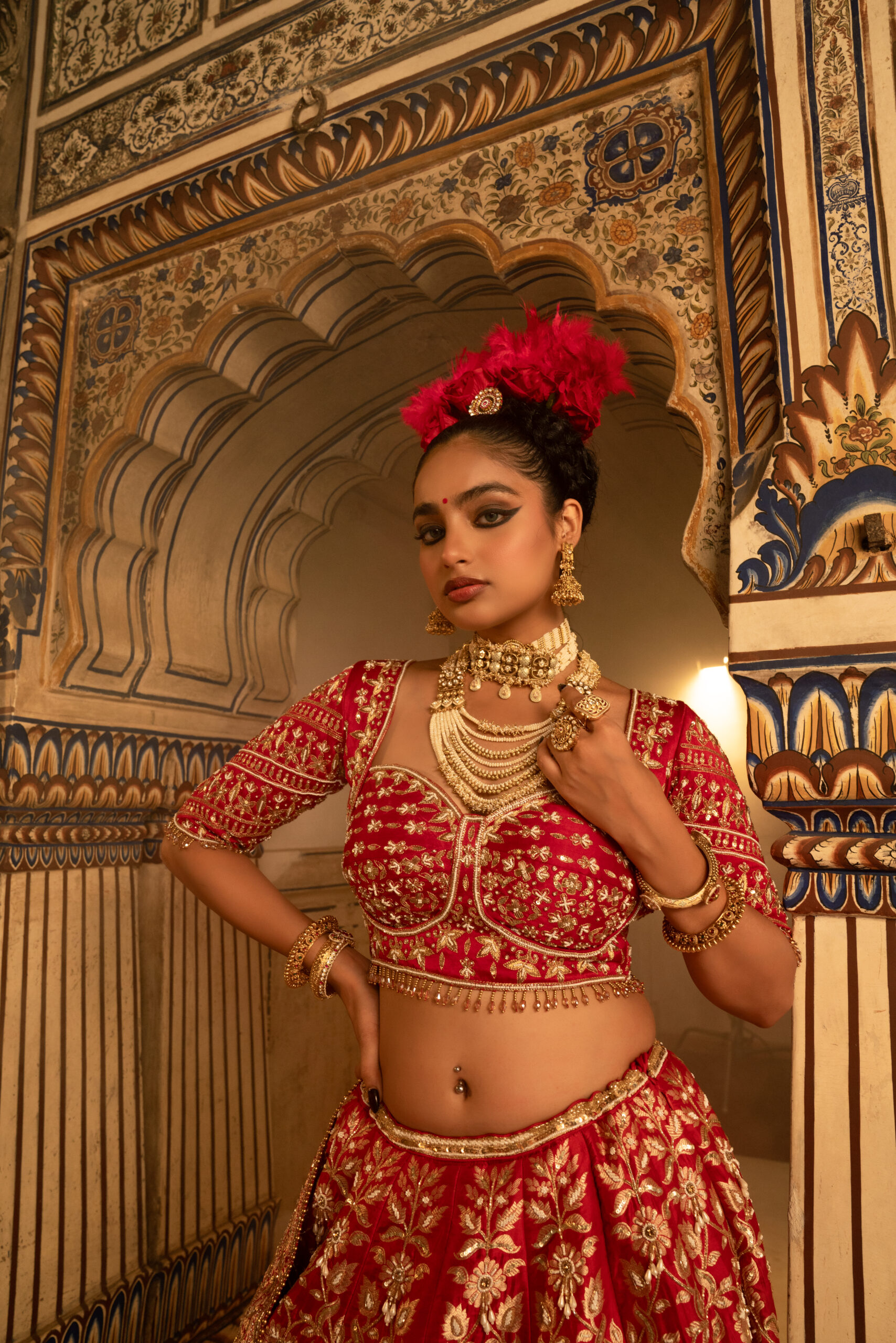 Royal Red Banarasi Silk Bridal Lehenga Set