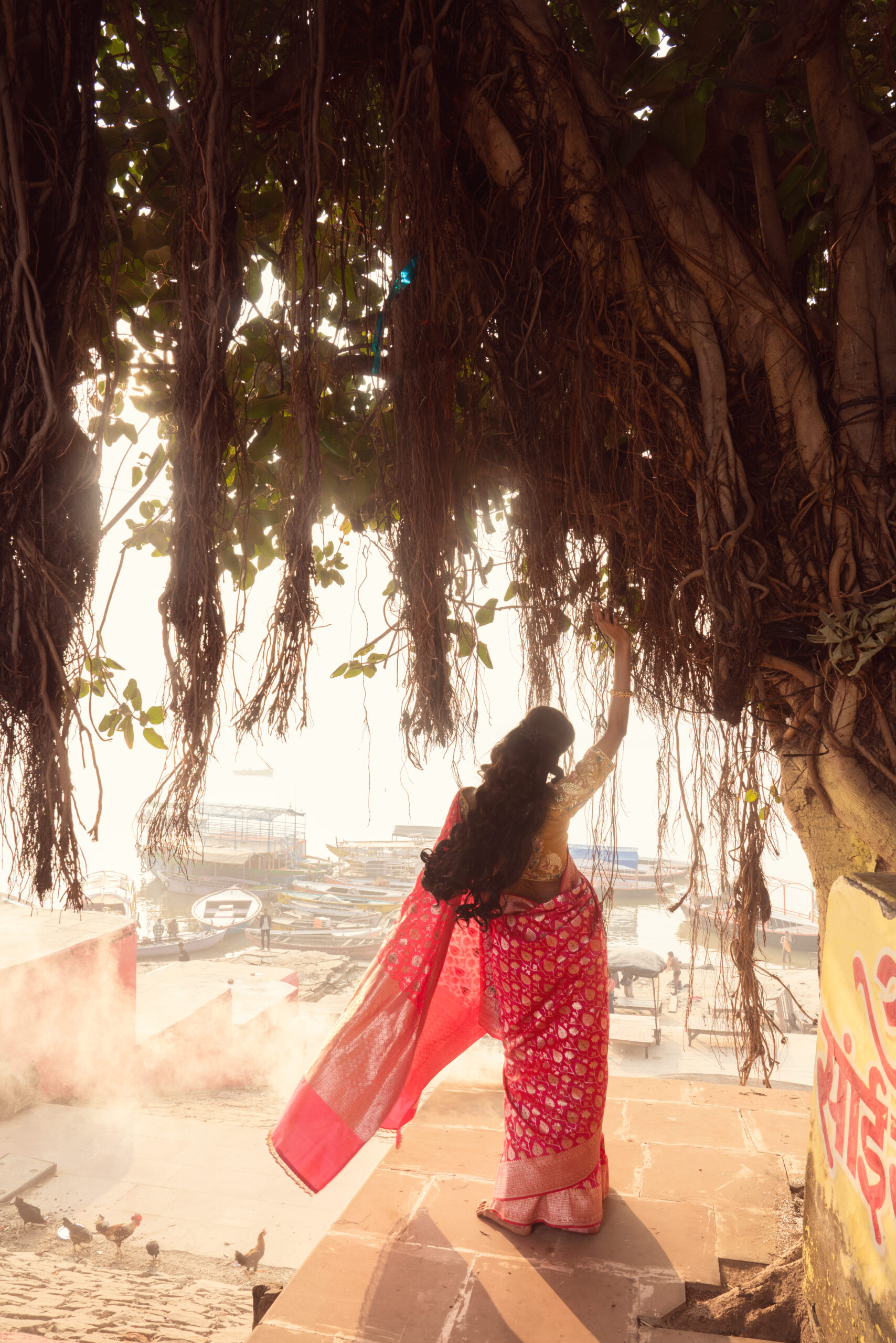 Pure Banarasi Silk Saree